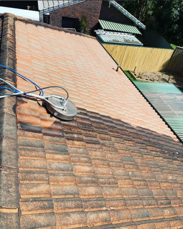 Professional roof cleaning service